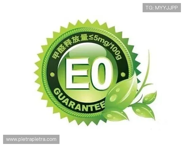 G3国际在教育行业中的创新应用与成功案例